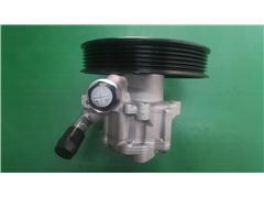 7691955434  5495144   Power Steering Pump for Buick