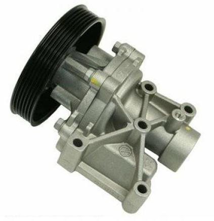 251002G200，251002G100，251002G600，251002G000 Water pump for KIA/HYUNDAI