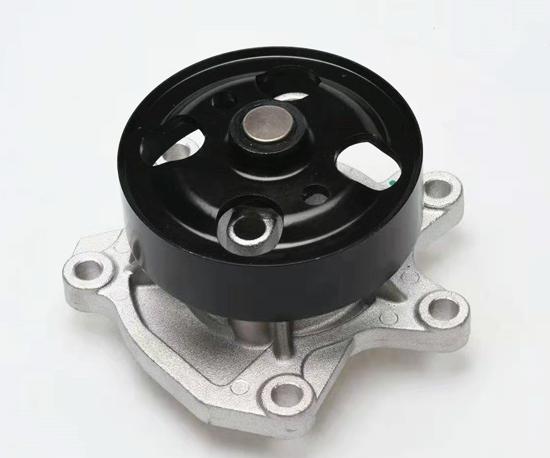 210103RC0A Water pump for NISSAN/DATSUN