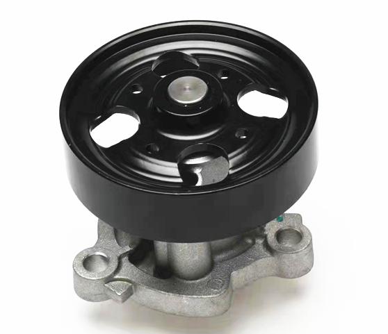 210108J000  210108J010  210106N226  210106N225 Water pump for NISSAN/DATSUN