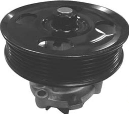 46815125  1201L9  1538706  1334711  93195466  1612705180  9S518501BA Water pump for FIAT