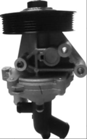 LR071294  LR029963  LR029963G Water pump for ROVER