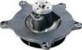 3065132R92  1830607C4  1841764C2  1842664C92 Water pump for INTERNATIONAL / NAVIS