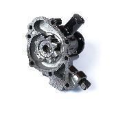 145017390 Oil Pump for PERKINS engine