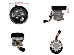 A21-3510010
  A21-3407010
   Power Steering Pump for CHERY