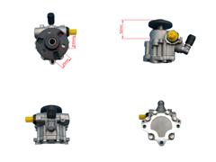 32416776372
  DSP1676
   Power Steering Pump for BMW