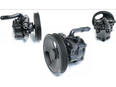 NC10-32-600B
  NC10-32-600C
  NC10-32-600D
   Power Steering Pump for MAZDA