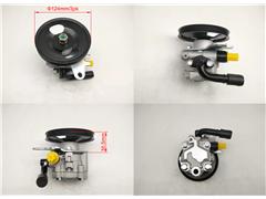 4911095F0A
  4711031050
  47110-31000
  47100-31000
   Power Steering Pump for NI
