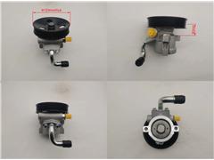 95216830
   Power Steering Pump for Daewoo