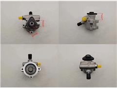 7668650
  46406954
  55186707
   Power Steering Pump for Fiat