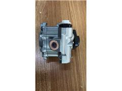  Power Steering Pump for Baw