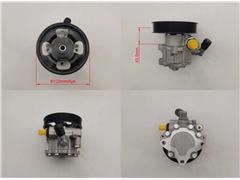 A025C080/GA5230750
  7079955005
   Power Steering Pump for Baw