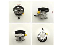 X1970043
  X10003824
   Power Steering Pump for JAC