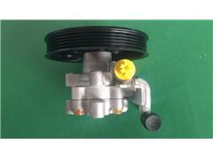  Power Steering Pump for Leopaard