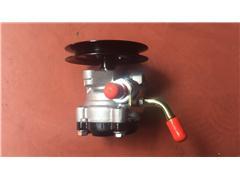  Power Steering Pump for Leopaard