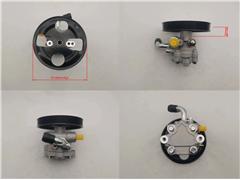 MR519445  MR455402   Power Steering Pump for Leopaard