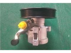 6332763
  96626562 
  96626563
  96626762
  96626553 
   Power Steering Pump for 
