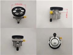 491105879R
  491104521R
  7700115621
  8200712890
   Power Steering Pump for Rena