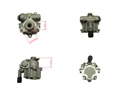 8200193992
   Power Steering Pump for Renault