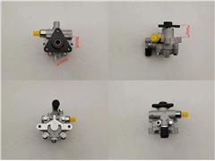 491100100R
  8200763524
   Power Steering Pump for Renault