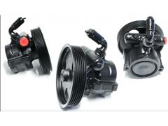 491100031R
   Power Steering Pump for Renault