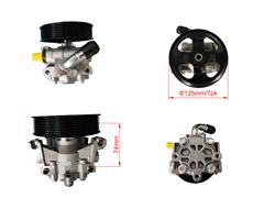 7H12-3F816-AA
  DSP1633
  7H12-3F816-AA
   Power Steering Pump for land rover