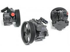 4007 P0
  4007 W3
  4007 6C
   Power Steering Pump for CITROEN