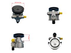 28254309
  1102DA2831N
   Power Steering Pump for TATA