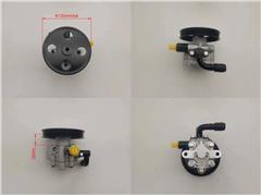 1102DBC00061N   Power Steering Pump for TATA