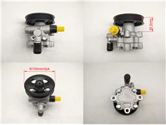 821006-SGM
   Power Steering Pump for SGMW