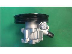 3001048
   Power Steering Pump for BRILLIANCE