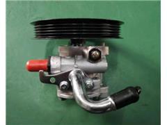PW820439
   Power Steering Pump for Lotus