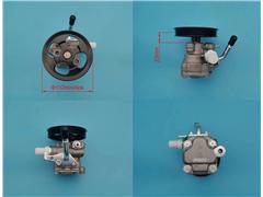 PW531880
   Power Steering Pump for Lotus