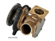 21219723  JPR-VP0110DA yacht Sea Water Impeller Pump for   Volvo