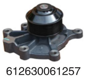 612630061257 Weichai Wp13/P 10 h diesel  for Engine Truck water Pump