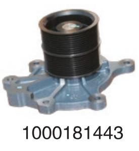 1000181443 Weichai Wp13/P 10 h diesel  for Engine Truck water Pump
