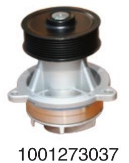 1001273037 Weichai Wp13/P 10 h diesel  for Engine Truck water Pump
