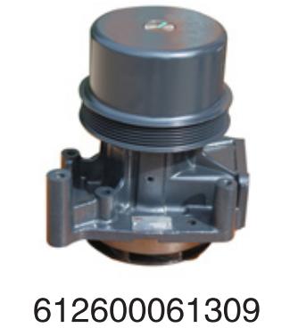 612600061309 Weichai Engines HOWO diesel  for Engine Truck water Pump