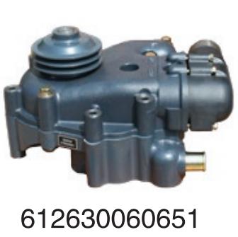 612630060651 Weichai Engines HOWO diesel  Marine engine water pump assembly for E