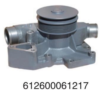 612600061217 Weichai diesel engine engineering for Engine Truck water Pump