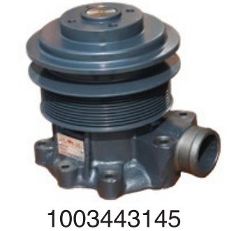 1003443145 Weichai diesel engine Deutz series  for Engine Truck water Pump