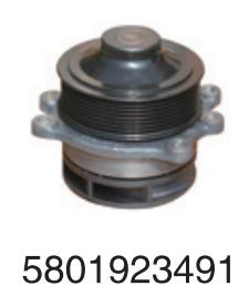5801923491 SINOTRUK HOWO Shangchai Foton Auman diesel engines/Shangfeihong series