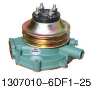 1307010-6DF1-25 Changan FAW Wuxi diesel engine six cylinder for Engine Truck wate