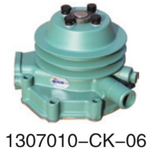 1307010-CK-06 Changan FAW Wuxi diesel engine six cylinder for Engine Truck water 