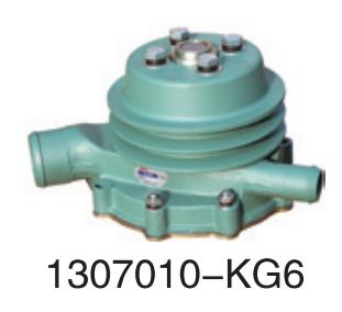 1307010-KG6 Changan FAW Wuxi diesel engine six cylinder for Engine Truck water Pu